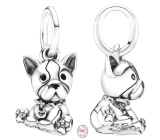 Charm Sterling silver 925 Dog - French bulldog, animal bracelet pendant