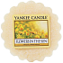 Yankee Candle Flowers in The Sun - Flowers in the Sun fragrant wax for aroma lamp 22 g