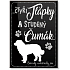 Nekupto Pets magnet Bernac 66 x 90 x 2 mm