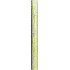 Nekupto Gift wrapping paper 70 x 150 cm Green, white twigs 997 50