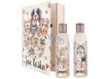 Bohemia Gifts Dog love shower gel 200 ml + hair shampoo 200 ml, book cosmetic set