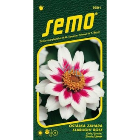 Semo Zahara Starlight Rose 15 seeds
