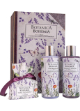 Bohemia Gifts Botanica Lavender shower gel 200 ml + hair shampoo 200 ml + toilet soap 100 g, book cosmetic set