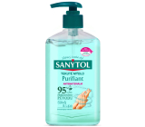 Sanytol Purifying Disinfectant Hand Soap 250 ml with Dispenser