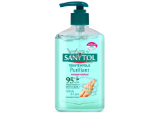 Sanytol Purifying Disinfectant Hand Soap 250 ml with Dispenser
