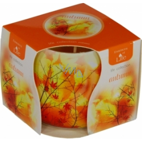 Essences of Life Autumn aromatic candle in glass 100 g