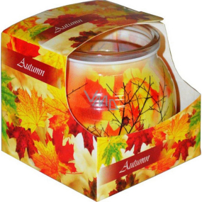 Admit Autumn - Autumn decorative aromatic candle in glass 80 g