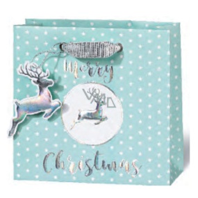 BSB Luxury gift paper bag 14.5 x 15 x 6 cm Christmas VDT 430 - CD