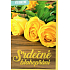 Nekupto General greeting card Yellow roses 115 x 170 mm 3567 F