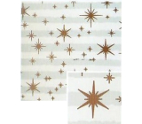 Nekupto Christmas gift wrapping paper 70 x 200 cm White and light blue stripes, copper stars