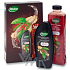 Radox for Men Predatory shower gel 250 ml + bath foam 500 ml, cosmetic set for men