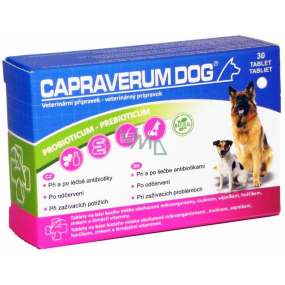 Capraverum Dog Probioticum - Prebioticum veterinary preparation for dogs, in the treatment of antibiotics, after deworming, for digestive problems 30 tablets