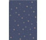 Ditipo Christmas gift wrapping paper 70 x 200 cm Kraft blue, beige stars