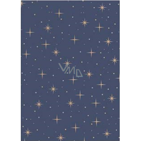 Ditipo Christmas gift wrapping paper 70 x 200 cm Kraft blue, beige stars