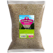 Biom Scribble Grass Mix 500 g