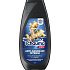 Schauma Men Anti-Dandruff anti-dandruff hair shampoo for men 250 ml