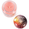 Heart & Home A touch of a tropical paradise A large soy scented candle burns for up to 70 hours 310 g