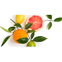 Millefiori Milano Icon Pompelmo - Grapefruit car fragrance Cuori & Fiori smells up to 2 months 47 g