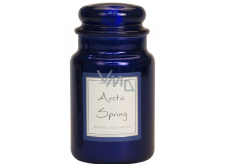 Village Candle Spring promise - Arctic Spring scented candle in glass 2 wicks 602 g