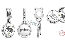 Sterling silver 925 Harry Potter - Frosty + cubic zirconia, 2in1 pendant for bracelet