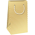 Ditipo Paper gift bag QK 20 x 12 x 8 cm Gold and beige triangles