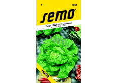 Semo Lettuce hibernating Humil 0,4 g