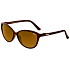 Relax Zembra Sunglasses R0318D