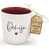 Nekupto Original Mug with the name Denisa 300 ml