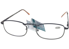 Berkeley Reading glasses +2.5 brown metal 1 piece MC2007