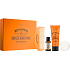 Scottish Fine Soaps Black pepper and milk thistle oil for beard 20 ml + solid soap 40 g + face cream 75 ml + comb for beard, cosmetic set for men
