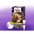 Schwarzkopf Palette 10 minutes Color hair color 850 Golden blonde