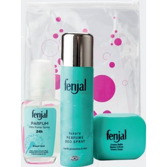 Fenjal 24h perfumed deodorant glass 75 ml + Classic deodorant spray 150 ml + Creme Soap toilet soap 100 g, cosmetic set