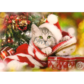 Nekupto Christmas postcard Kitten 15 x 11 cm