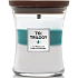 WoodWick Trilogy Icy Woodland - Ice Forest scented candle with wooden wick and lid glass medium 275 g