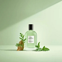 David Beckham Aromatic Greens eau de parfum for men 100 ml