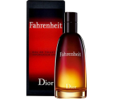 Christian Dior Fahrenheit Eau de Toilette for Men 50 ml