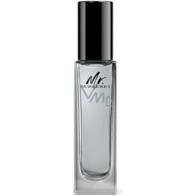 Burberry Mr. Burberry Eau de Toilette for Men 30 ml