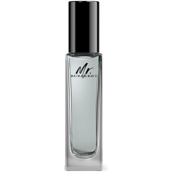 Burberry Mr. Burberry Eau de Toilette for Men 30 ml