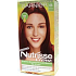 Garnier Nutrísse Créme Hair Color Tint 66 Grenadine