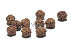 Rudraksha natural bead 8 mm, 10 pieces