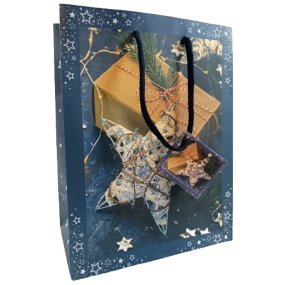 Gift paper bag Christmas WBM 2428 blue CZ/xSK/HU