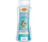 Bione Cosmetics Antakne Salicylic Alcohol with Tea Tree and Menthol 260 ml