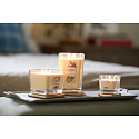 Yankee Candle Sweet Nectar Blossom - Sweet Floral Nectar Soy Scented Candle Elevation Small Glass 1 Wick 96 g