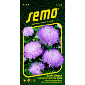 Semo Astra Chinese Duchesse Silvery Rose 0.5 g
