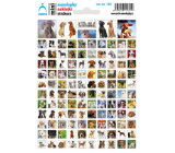 Sheet of School Mini Stickers Dogs