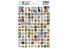 Arch School mini stickers dogs