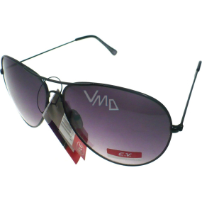 Fx Line Sunglasses 6042