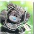 Me to You Envelope 3D Greeting Card, Teddy Bear with horseshoe 15,5 x 15,5 cm