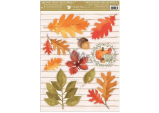 Room Decor Window foil without glue autumn pumpkin, leaves 30 x 42 cm