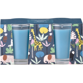 Emocio Coconut Beach - Coconut Beach scented candle glass 50 x 62 mm 2 pieces in box